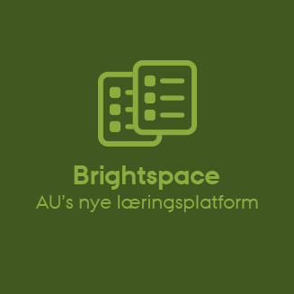 Brightspace login 
